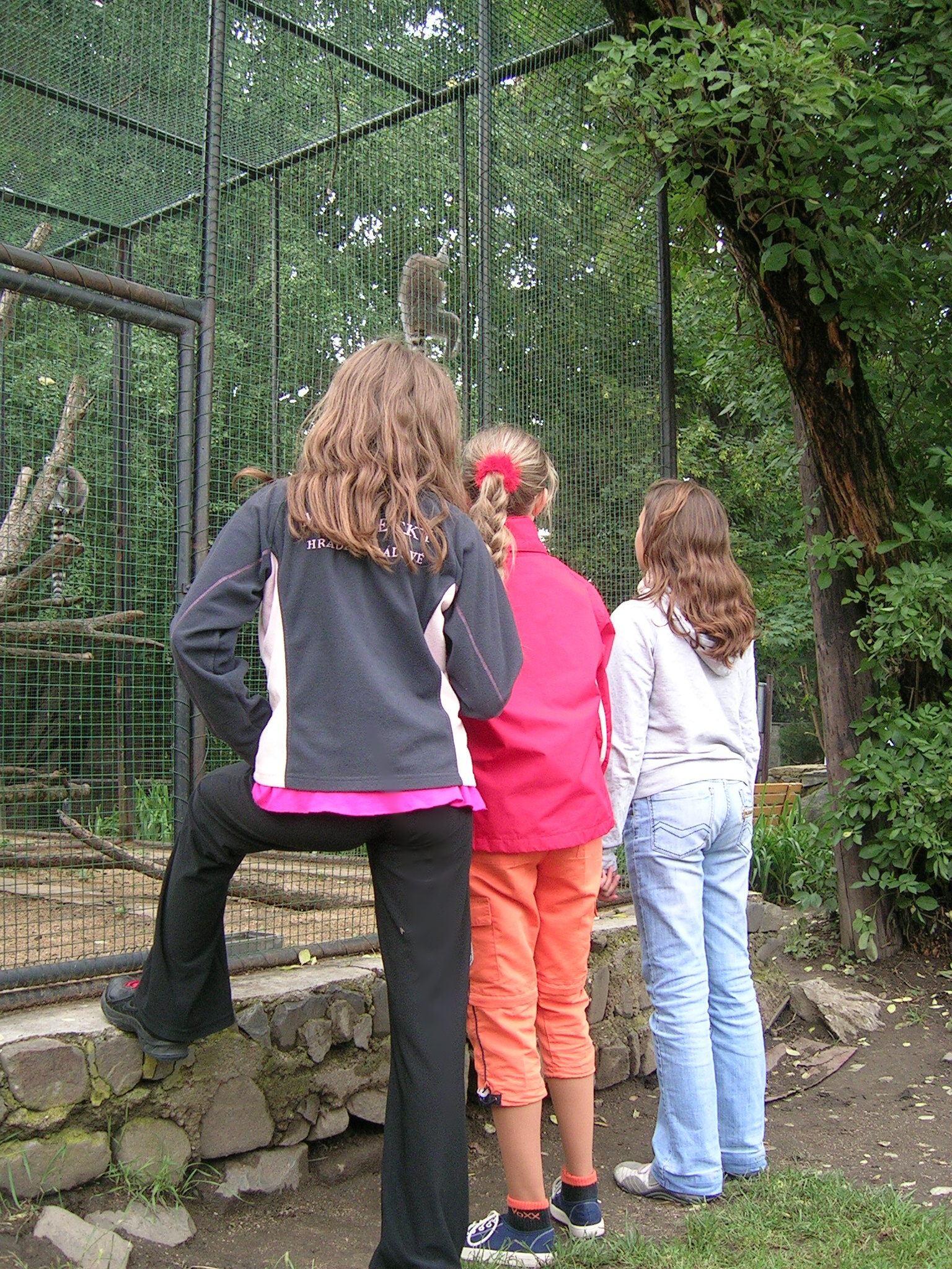 DSCN8052.JPG
