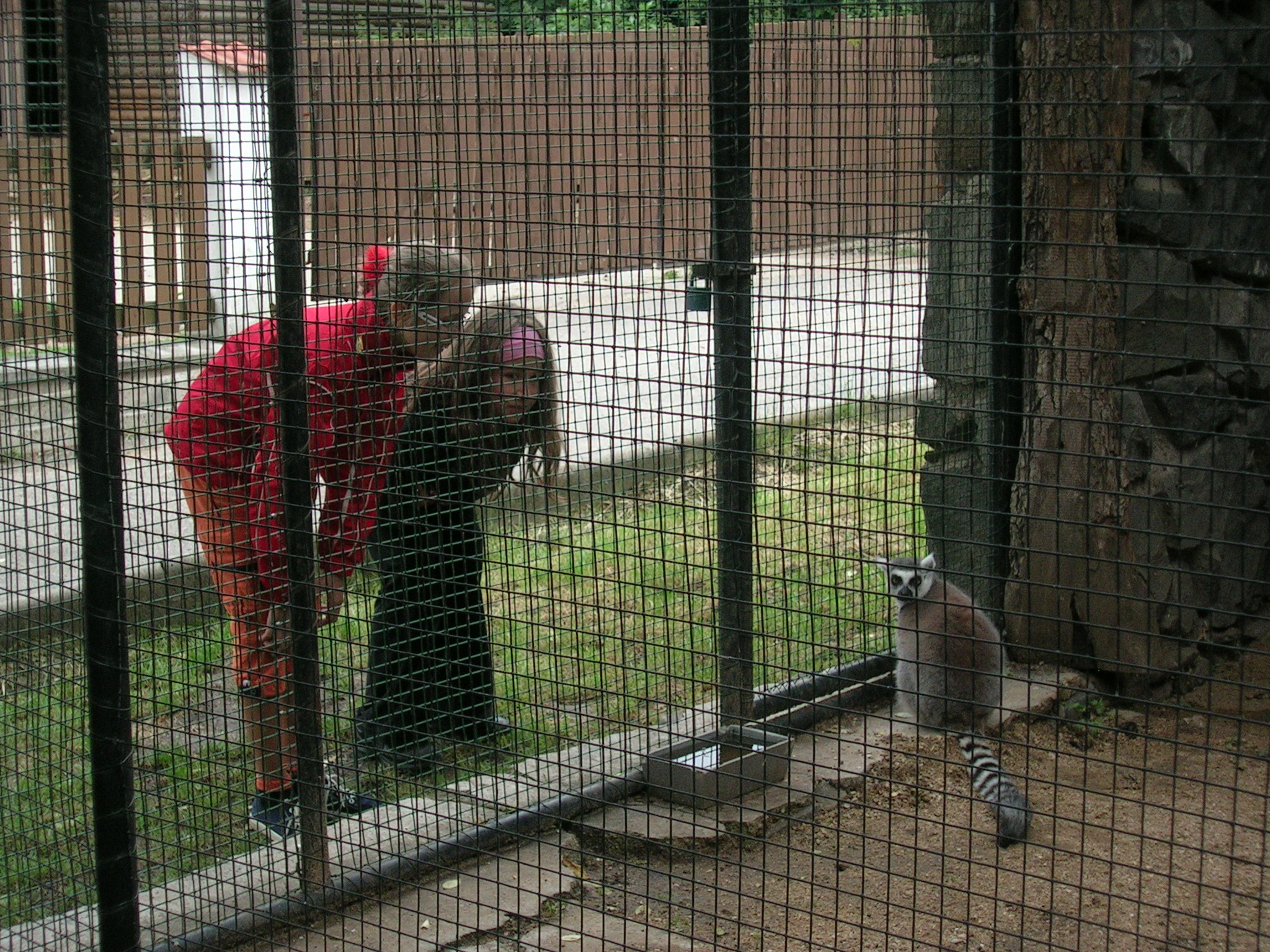 DSCN8054 - Kopie.JPG