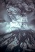 399px-MSH80_eruption_mount_st_helens_05-18-80.jpg